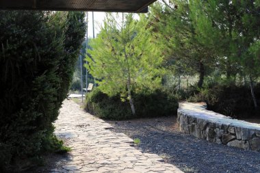 İsrail'in kuzeyinde Akdeniz kıyılarında bir şehir orman parkı sonbahar doğa 