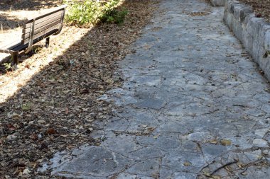 İsrail'in kuzeyinde Akdeniz kıyılarında bir şehir orman parkı sonbahar doğa 