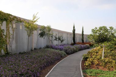 İsrail'in kuzeyinde Akdeniz kıyılarında bir şehir orman parkı sonbahar doğa 