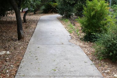 İsrail'in kuzeyinde Akdeniz kıyılarında bir şehir orman parkı sonbahar doğa 