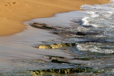 İsrail devletinin kuzeyinde Akdeniz'in ıssız kıyıları 
