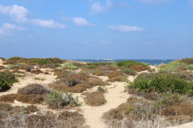 İsrail devletinin kuzeyinde Akdeniz'in ıssız kıyıları 