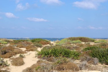 İsrail devletinin kuzeyinde Akdeniz'in ıssız kıyıları 