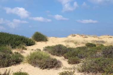 İsrail devletinin kuzeyinde Akdeniz'in ıssız kıyıları 