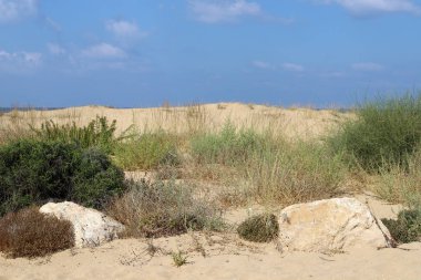 İsrail devletinin kuzeyinde Akdeniz'in ıssız kıyıları 