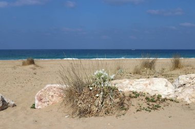 İsrail devletinin kuzeyinde Akdeniz'in ıssız kıyıları 