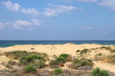 İsrail devletinin kuzeyinde Akdeniz'in ıssız kıyıları 