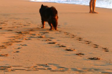 İsrail'in kuzeyinde Akdeniz kıyılarında kum ayak izleri 