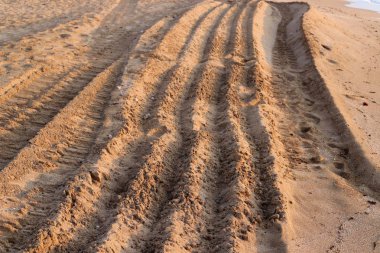 İsrail'in kuzeyinde Akdeniz kıyılarında kum ayak izleri 