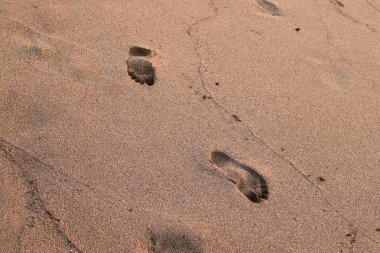 İsrail'in kuzeyinde Akdeniz kıyılarında kum ayak izleri 