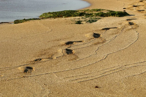 Footprints Sand Shores Mediterranean Sea North Israel — Stock Photo, Image