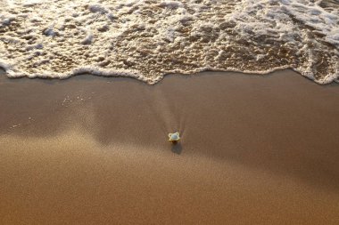 İsrail'in kuzeyinde Akdeniz kıyılarında kum ayak izleri 