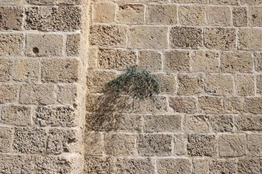 İsrail'in kuzeyinde Acre kentinde antik bir taş ve beton kale yüksek duvar 