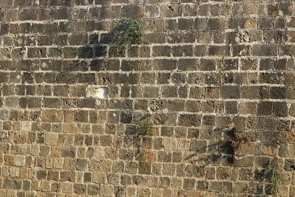Hohe Mauer Einer Alten Festung Aus Stein Und Beton Der — Stockfoto