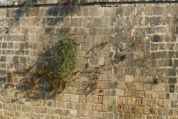 Hohe Mauer Einer Alten Festung Aus Stein Und Beton Der — Stockfoto