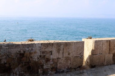İsrail'in kuzeyinde Acre kentinde antik bir taş ve beton kale yüksek duvar 