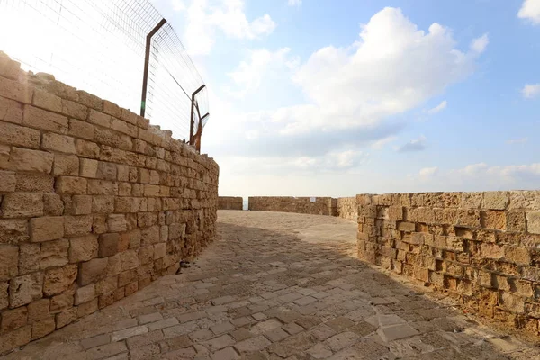 Alta Muralla Una Antigua Fortaleza Piedra Hormigón Ciudad Acre Norte — Foto de Stock