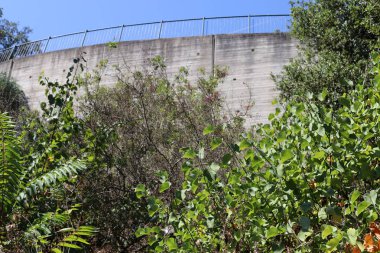 İsrail'in kuzeyinde Acre kentinde antik bir taş ve beton kale yüksek duvar 