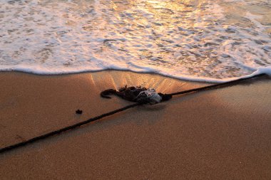 Izin verilen yüzme alanı korumak için İsrail devletinin kuzeyinde bir plajda bir ip 