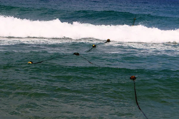 Мотузка Пляжі Півночі Держави Ізраїль Захисту Дозволеного Плавального Басейну — стокове фото