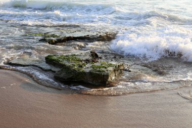 İsrail devletinin kuzeyinde Akdeniz'in ıssız kıyıları 