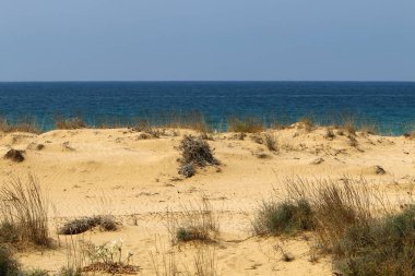 İsrail devletinin kuzeyinde Akdeniz'in ıssız kıyıları 