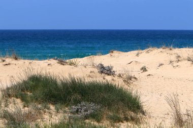 İsrail devletinin kuzeyinde Akdeniz'in ıssız kıyıları 
