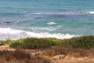 İsrail devletinin kuzeyinde Akdeniz'in ıssız kıyıları 