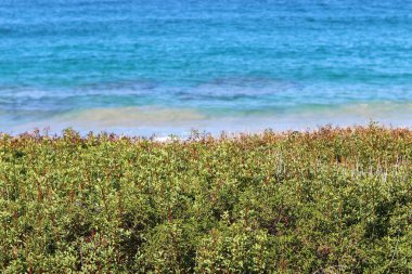 İsrail devletinin kuzeyinde Akdeniz'in ıssız kıyıları 