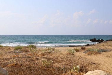 İsrail devletinin kuzeyinde Akdeniz'in ıssız kıyıları 