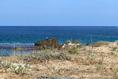 İsrail devletinin kuzeyinde Akdeniz'in ıssız kıyıları 