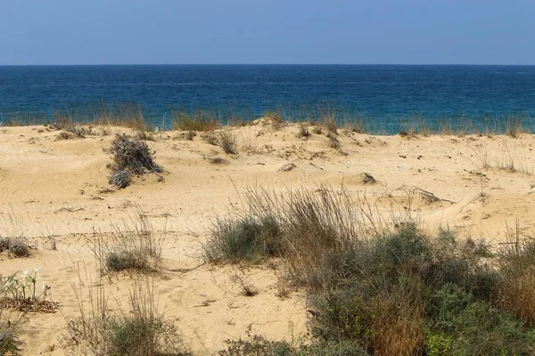 Costa Deserta Mar Mediterrâneo Norte Estado Israel — Fotografia de Stock