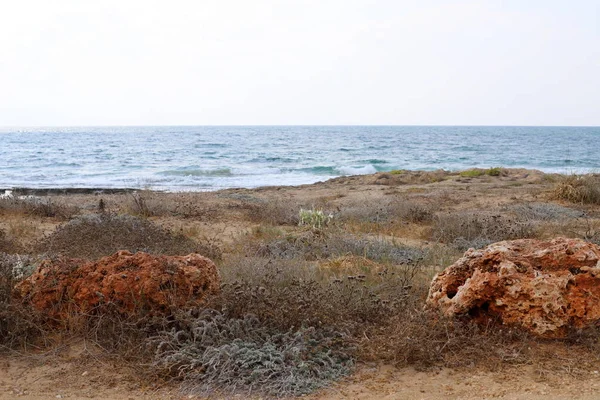 イスラエル国家の北の地中海のさびれた海岸 — ストック写真