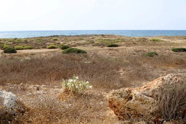 Verlaten Kust Van Middellandse Zee Het Noorden Van Staat Israël — Stockfoto