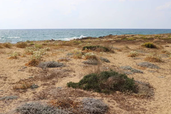 Costa Deserta Mar Mediterrâneo Norte Estado Israel — Fotografia de Stock