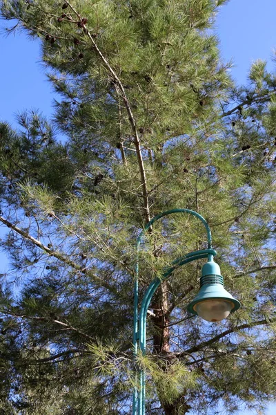 Электрический Фонарь Лампа Освещения Установлены Городском Парке Севере Израиля — стоковое фото