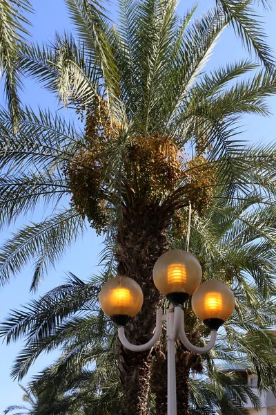 Elektrische Laterne Und Lampe Für Beleuchtung Einem Stadtpark Norden Von — Stockfoto