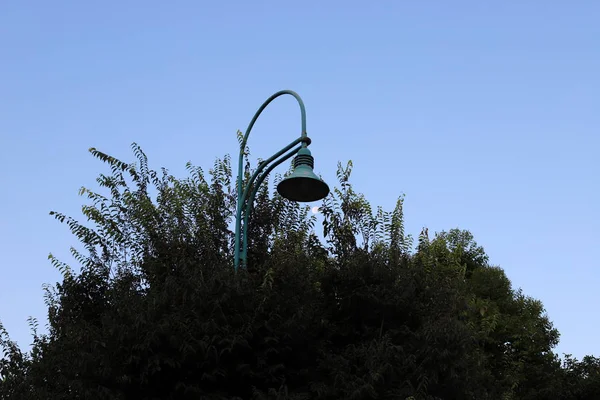 Электрический Фонарь Лампа Освещения Установлены Городском Парке Севере Израиля — стоковое фото