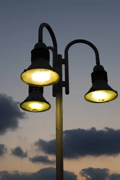 Lanterne Électrique Lampe Pour Éclairage Installé Dans Parc Urbain Dans — Photo