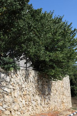 İsrail'in kuzeyinde Akdeniz kıyısında bir şehir orman parkı çit 