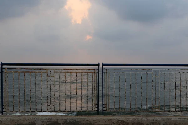 Srail Kuzeyinde Akdeniz Kıyısında Bir Şehir Orman Parkı Çit — Stok fotoğraf