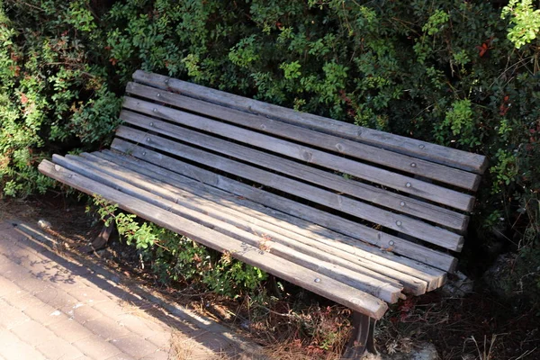 Bench City Park Shores Mediterranean Sea Northern Israel — Stock Photo, Image