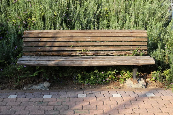 Bench City Park Shores Mediterranean Sea Northern Israel — Stock Photo, Image