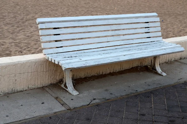 Bänk Stadspark Vid Medelhavets Strand Norra Israel — Stockfoto