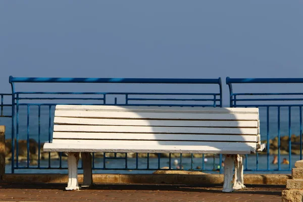 Bench City Park Shores Mediterranean Sea Northern Israel — Stock Photo, Image