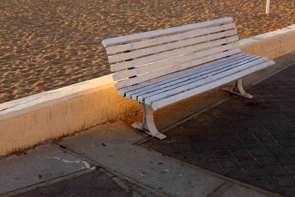以色列北部地中海沿岸城市公园的长椅 — 图库照片