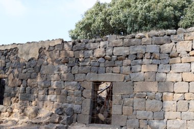 Gamla, Galile Denizi 'nin 18 km kuzeydoğusunda, Golan Tepesi' nin batı yamacında bulunan antik bir Yahudi şehridir.. 