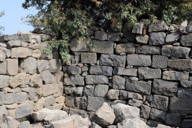 Gamla, Galile Denizi 'nin 18 km kuzeydoğusunda, Golan Tepesi' nin batı yamacında bulunan antik bir Yahudi şehridir.. 