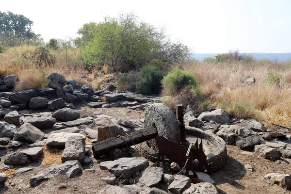 Gamla Una Antigua Ciudad Judía Ladera Occidental Llanura Del Golán — Foto de Stock