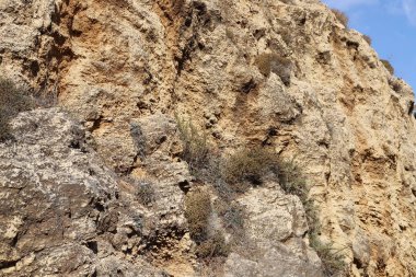 İsrail devletinin kuzeyindeki dağların ve kayaların dokusu 